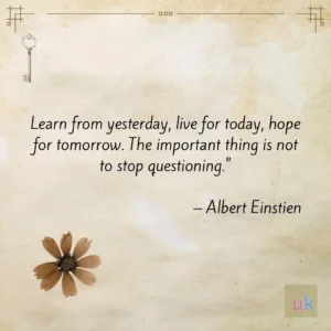 Learn from yesterday, live for today, hope for tomorrow. The important thing is not to stop questioning." - Albert Einstien